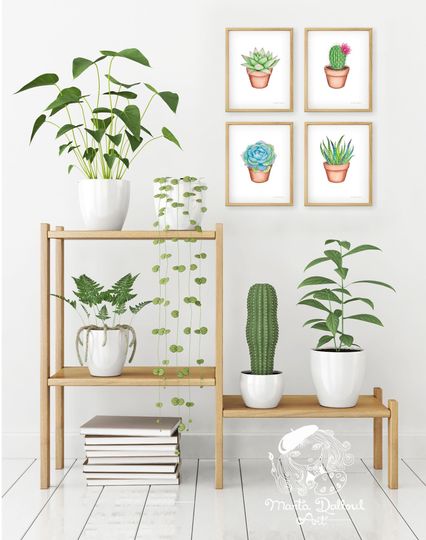 Discover Cactus painting. Succulent watercolor art set. Plant wall art. Cute botanical print. Potted cactus illustration. Modern plant room decor.