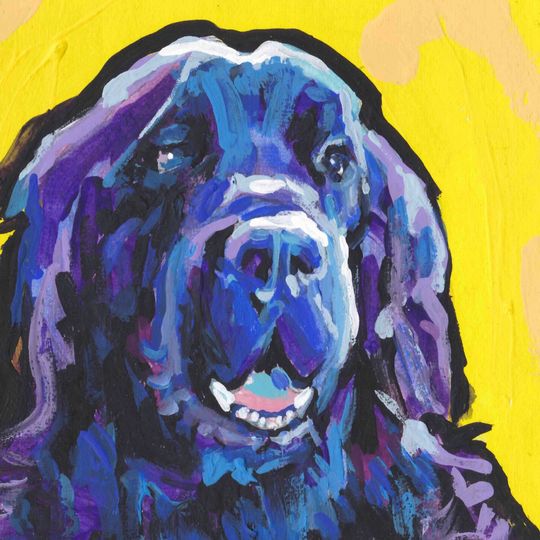 Discover NEWFOUNDLAND dog portrait PRINT of pop art painting bright colors 8x8"