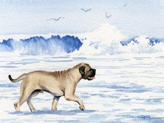 Discover BULLMASTIFF Art Print "Bullmastiff At The Beach" Watercolor by Artist DJ Rogers