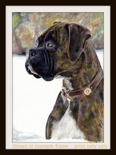 Discover Boxer - Boxer Dog A4 A3 or A2 Size Limited Edition Print of original watercolor painting direct from English Artist Steve Russell