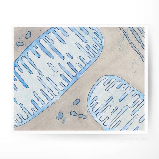 Discover Mitochondria Science Art Print | Biology Decor