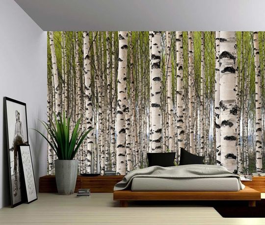 Discover Birch Tree Forest - Large Wall Mural, Self-adhesive Vinyl Wallpaper, Peel & Stick fabric wall decal