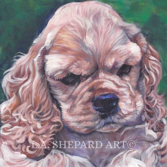 Discover American COCKER Spaniel dog portrait art Canvas PRINT of LA Shepard painting 8x8
