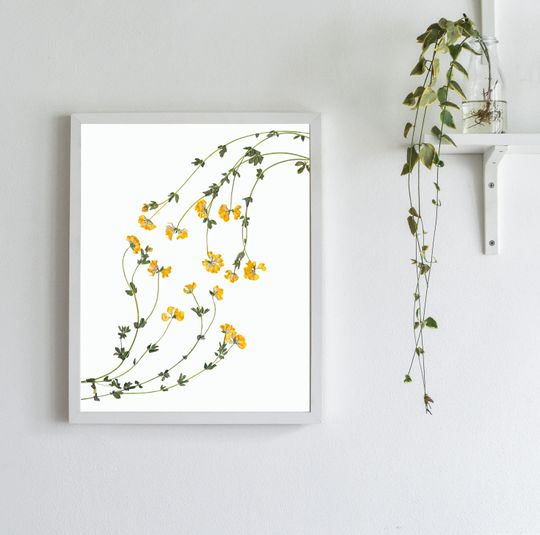 Discover Pressed Flowers Print - Yellow Flowers - Pressed Botanical Art - Dried Flower Arrangement - Minimalist Nature Wall Art - Eco Friendly Gift