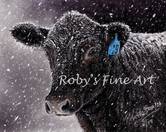 Discover Cattle Art Print Angus Kee "Number 19" 5 x 7 inch Giclee by Artist Roby Baer PSA