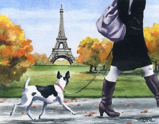 Discover Rat Terrier Art Print "RAT TERRIER In Paris" by Artist DJ Rogers