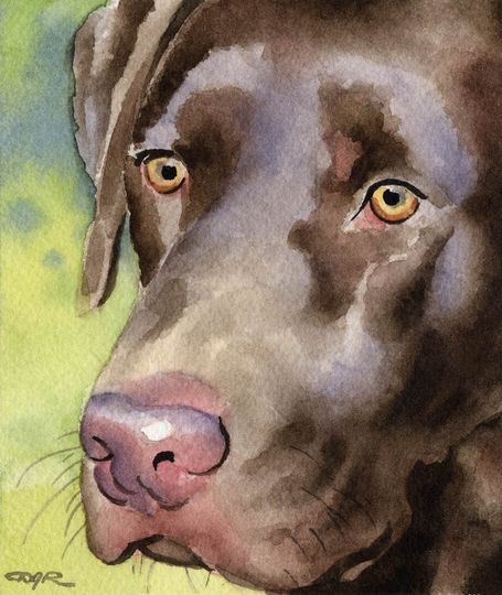 Discover LABRADOR RETRIEVER Art Print Chocolate Lab by Watercolor Artist DJ Rogers