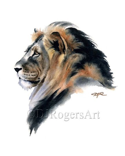 Discover Lion Art Print - Watercolor Painting by Artist DJ Rogers - Wildlife - Wall Decor