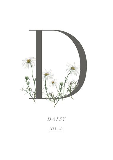 Discover Botanical Illustration Letter Print - Limited Edition