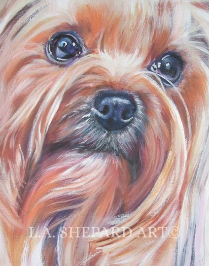 Discover Yorkshire Terrier YORKIE dog ART portrait canvas PRINT of LAShepard painting 11x14