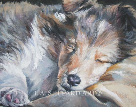 Discover Shetland Sheepdog SHELTIE DOG art portrait PRINT of LAShepard painting 8x10"