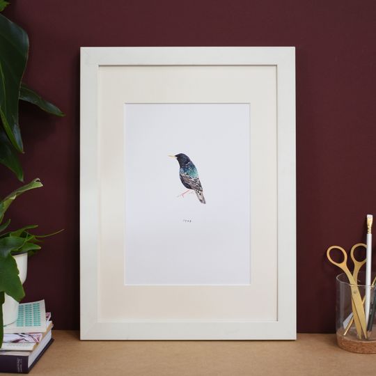 Discover Starling Bird Art Print