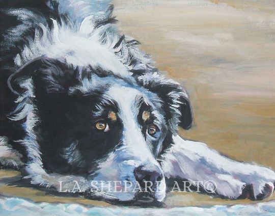 Discover BORDER COLLIE portrait dog art canvas PRINT of LAShepard painting 8x10"