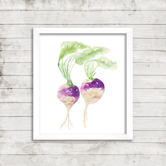 Discover Turnip Watercolor Art Print for Kitchen