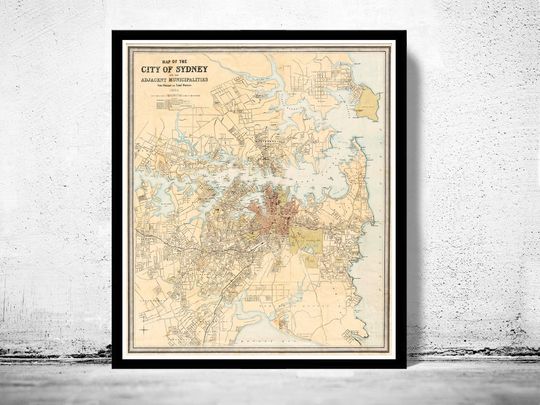 Discover 1890 Vintage Map of Sydney and Suburbs