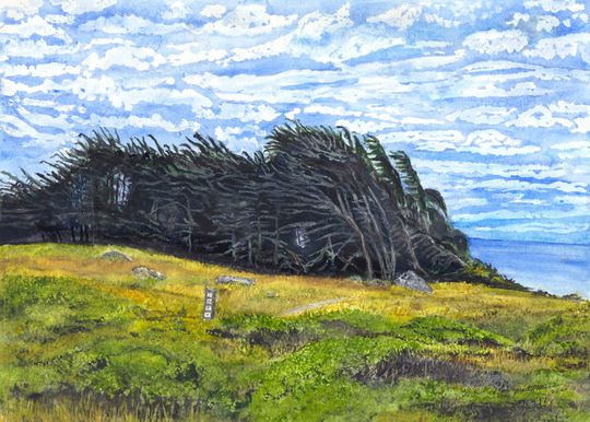 Discover Sea Ranch
