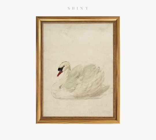 Discover Framed Vintage Print, White Swan Art, Vintage Art Framed, Antique Swan Watercolor Print, Nursery Prints, Vintage Decor, Housewarming Gift