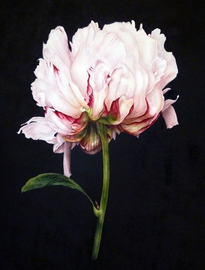 Discover Peony Art Print, Peony on Black, Watercolour Print, Botanical Art Print, Peony Print, Modern Botanical Art, Home Decor, Gift For Her, Flower