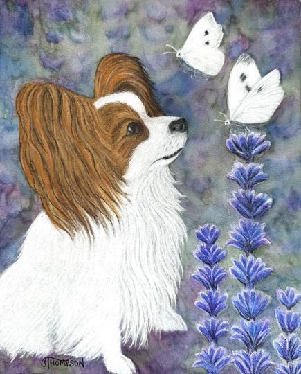 Discover PAPILLON ART Giclee Print from my Original Watercolor and Colored Pencil Art,  "Papillon Meets Her Namesake"  Gift for Papillon Lover