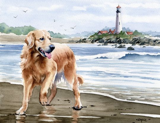 Discover Golden Retriever Art Print "GOLDEN RETRIEVER At The Beach" Watercolor by Artist D J Rogers