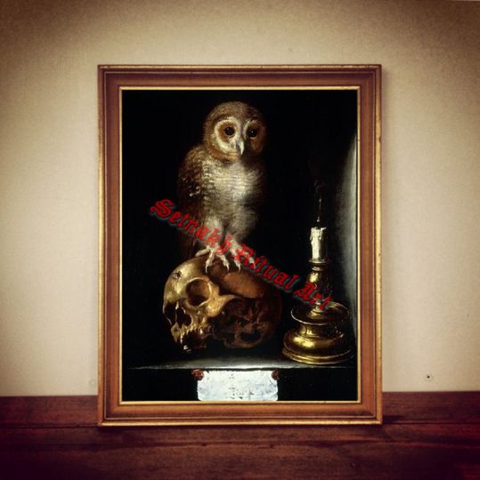 Discover Memento mori art, owl and skull print, death illustration, gothic poster, occult decor, antique vintage home decor #317