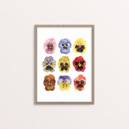Discover Watercolor Pansy Botanical Illustration Giclee Print