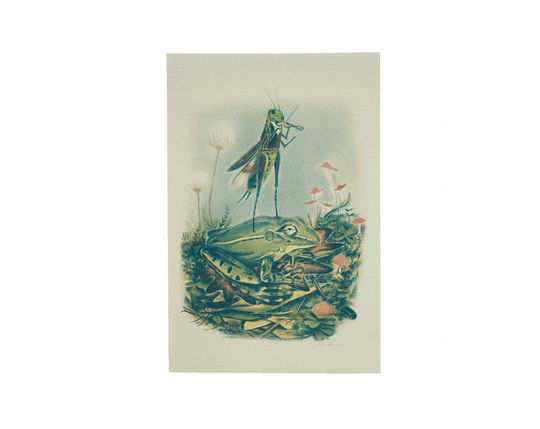 Discover Grasshopper Violinist - Risograph Print