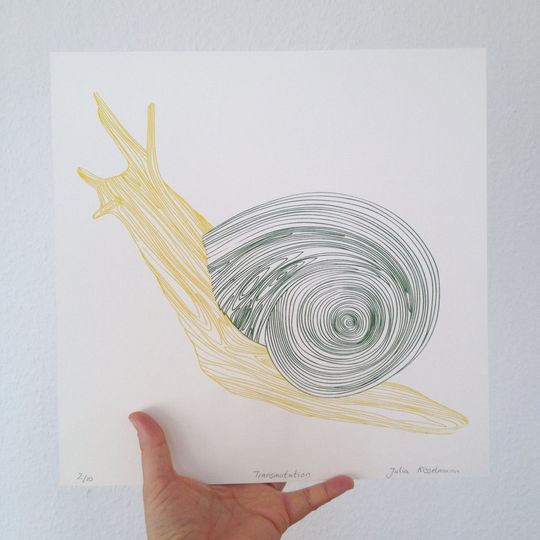 Discover Snail Animal Illustration Screen Print - Silk Art