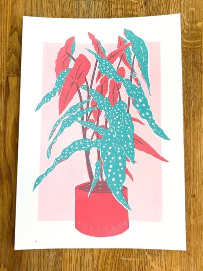 Discover Begonia maculata- (A4 21x30cm) - Leaf screenprint Original Fine Art Print Wall Decor serigraphy  Drawing Poster - Gift for plants lovers!