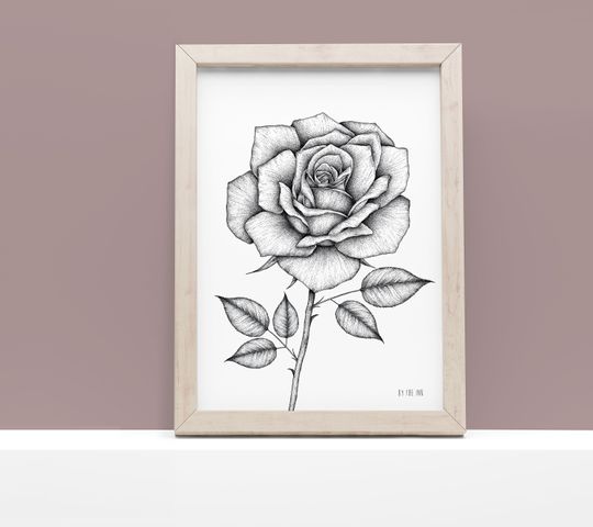 Discover Rose - prints, A4, 324 g, Fine art textured paper, dotwork, botanical illustration, wall decor, naturalista, botanical, flower