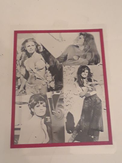 Discover Raquel Welch Print