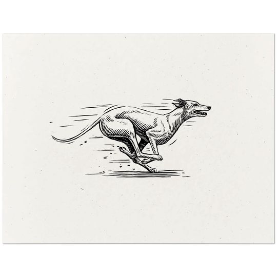 Discover Greyhound Print