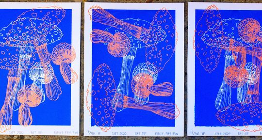 Discover Mushroom Screenprint