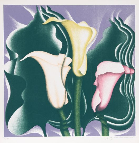 Discover Calla Lily by Jack Brusca