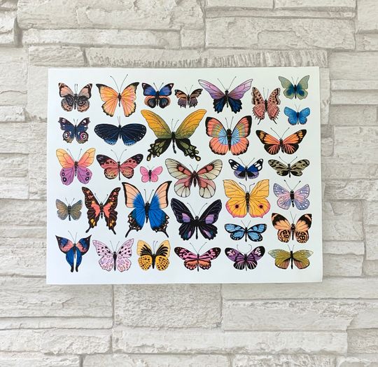 Discover Butterfly Diversity Risograph Print