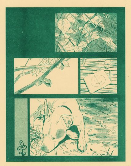 Discover Postcard from the backyard 8.5x11 turquoise dog nature risograph print