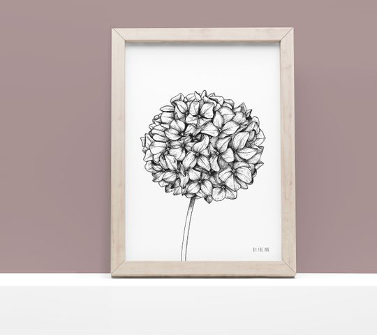 Discover Hydrangea - prints, A4, 324 g, Fine art textured paper, dotwork, botanical illustration, wall decor, naturalista, botanical, flower