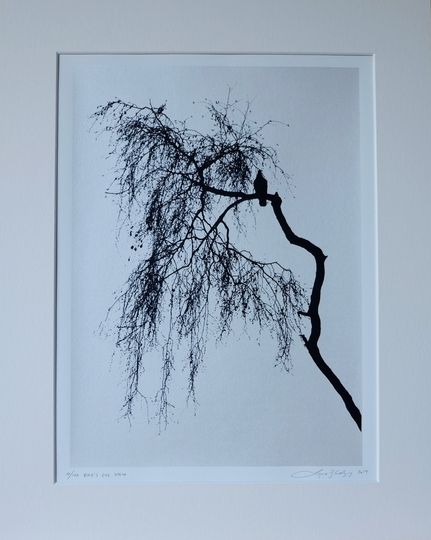 Discover Bird's Eye View (silver)