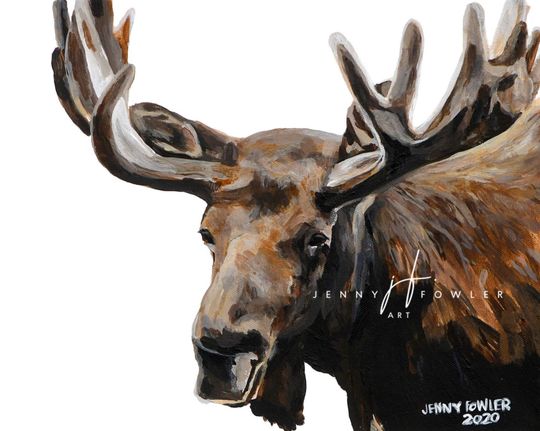 Discover 2x3 - Moose
