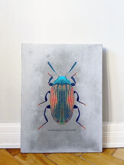 Discover Botanical illustration, insect, beetle, decoration, 7-color print + 24 carat gold leaf on concrete, unique piece with signature +certificate