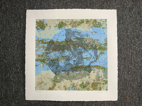 Discover Saxatile - hand pulled multi-colour abstract screen print - variable edition of eight