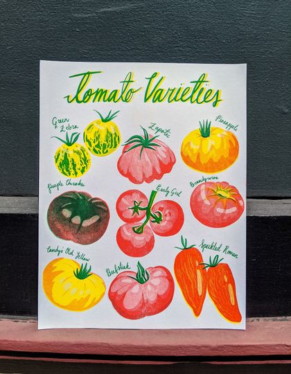 Discover Risograph Tomato Print 8.5"x11" | Heirloom Tomato Art Print