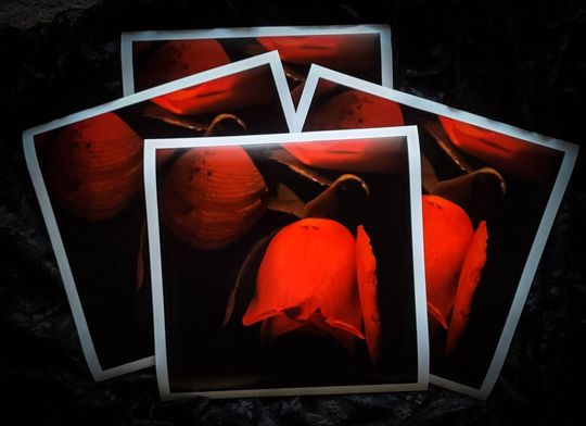 Discover Redamancy Prints