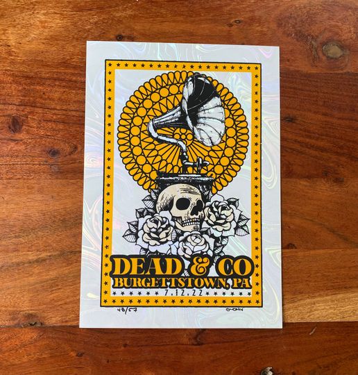 Discover Dead and Company tour poster screen print Star Lake
