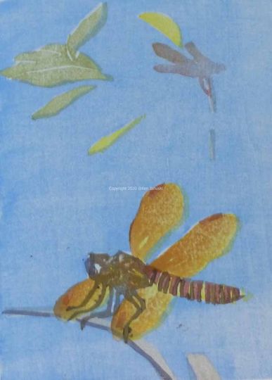 Discover Eastern Amberwings Original Moku Hanga Print