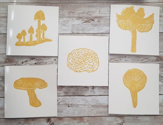 Discover Mushroom Card Pack 1 - Nature Art Celebration Prints