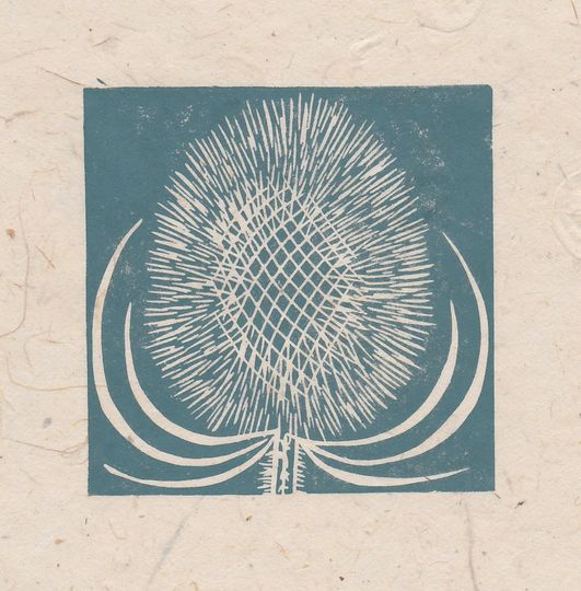 Discover Teasel seed head mini linocut print