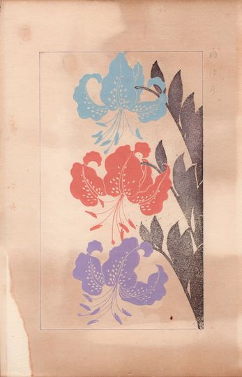 Discover 1932,  Kawarazaki Kodo, star lily.