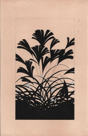 Discover 1932,  Kawarazaki Kodo,  Miscanthus