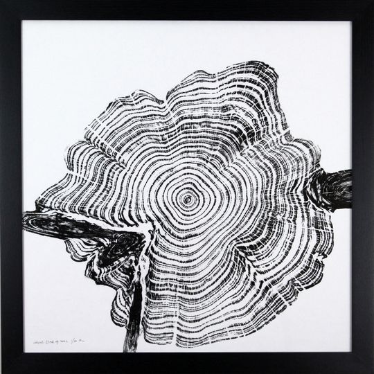 Discover Cedar Star 4 - Handprinted Original Tree Ring Art Print in Black